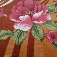 پتو|رختخواب، بالش، پتو|علی‌آباد کتول, |دیوار