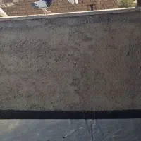 کله سیاه باخت رفته