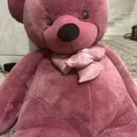 خرس صورتی|اسباب‌‌بازی|قم, بنیاد|دیوار