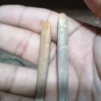 عرج السواحل بحری زنده