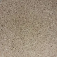 برنج چمپا تشان