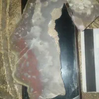 سنگ شجر دریایی