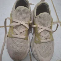 کیف و کفش .|کیف، کفش، کمربند|پرند, فاز ۶|دیوار