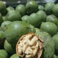 گردو تازه