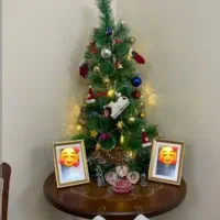 درخت کریسمس