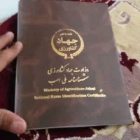 مادیان مدارکدار