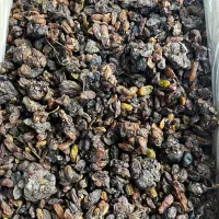 تخفیف کشمش تا ۱۰ مرداد