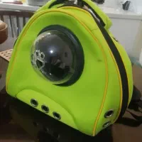 کوله پرنده یا سگ و گربه
