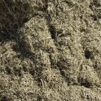 کاه لوبیا وکاه سفید