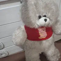 خرس بزرگ شاسخین یک متر و خورده ای