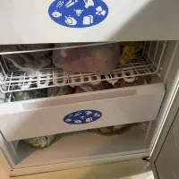 فروش دو عد بخچال فریز|یخچال و فریزر|شیراز, شهرک بهشتی|دیوار