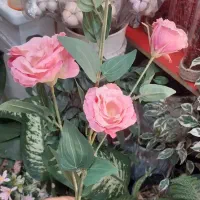 انواع گل مصنوئی باکس سبددسته گل شاخه ای قیمت مناسب|گل مصنوعی|تبریز, |دیوار