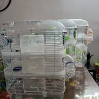 قفس جوندگان