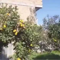 زمین ۳۰۸ متری روستای جعفرآباد سند تکبرگ مسکونی