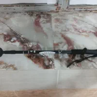 عصای کوه نوردی آلنیکو مدل ۰۰۱