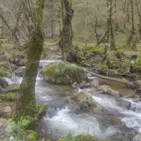 تور شمال لحظه آخری ۵ خرداد ماه