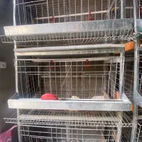 قفس مرغ تخمگذار ۳ طبقه