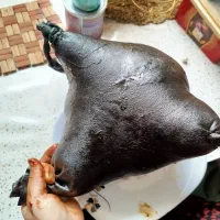 هیزه بدون ایراد|لوازم نظافت|جوانرود, |دیوار