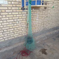 سلیه