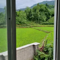 اجاره ویلاجنگلی درطبیعت زیبا ودلنوازگشت رودخان