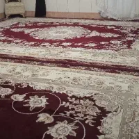 قالی|فرش|تایباد, |دیوار