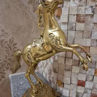 اسم برنج