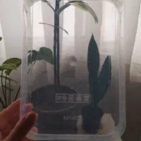 ظروف فریزری با سایزهای مختلف