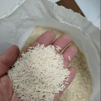 برنج هاشمی