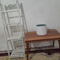بانکه دونه 100تومن|ظروف سرو و پذیرایی|اهواز, زندوکیلی|دیوار