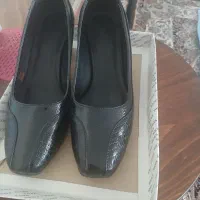 کفش مجلسی نو|کیف، کفش، کمربند|ساوه, |دیوار