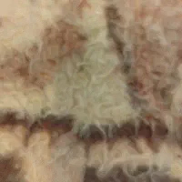 فروش زمین 125متری درخیرابادی 24