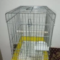 قفس