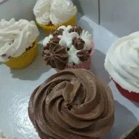 کیک وشیرینی|خوردنی و آشامیدنی|قم, سید معصوم|دیوار