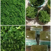 سبزیجات قرمه کوکو اش تمیزاورگانیک عطری متفاوت طعمی|خوردنی و آشامیدنی|سبزوار, پاسداران|دیوار