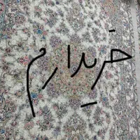 روفرشی کش دار نه متری|روفرشی|مشهد, نوید|دیوار