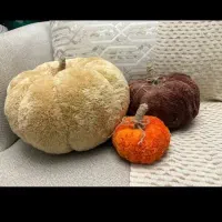 کوسن و دکوری کدو|صنایع دستی و سایر لوازم تزئینی|رشت, سعدی (تختی)|دیوار