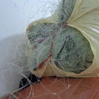 تور پرسوکی(سنگ سری)|ماهیگیری|بندر دیر, |دیوار