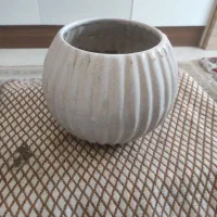 گلدان|گل و گیاه طبیعی|اندیشه, شهرک کوثر|دیوار