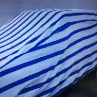 برزنت راه راه