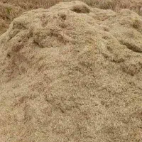 کاه گندم فروشی