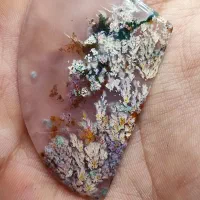 سنگ شجر|جواهرات|فردوس (خراسان), |دیوار