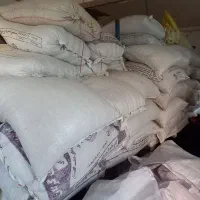 باقلا زود رس هیستال|عمده‌فروشی|گرگان, |دیوار