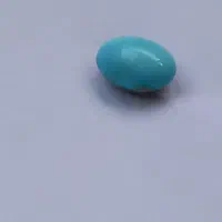 فیروزه اصلی نیشابوری