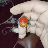 انگشتر شجر زیبا|جواهرات|زابل, |دیوار