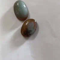 نگین شجر تک درخت