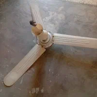 فروش پنکه سقفی|پنکه و تصفیه‌کنندهٔ هوا|لیکک, |دیوار