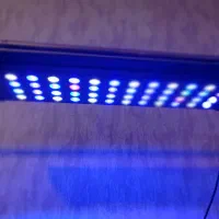 آکواریوم ابشور|ماهی|تهران, امین حضور|دیوار