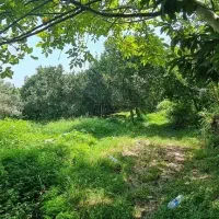 فروش ملک در منطقه آزاد اقتصادی شمال کشور|فروش زمین و ملک کلنگی|خرمآباد (تنکابن), |دیوار