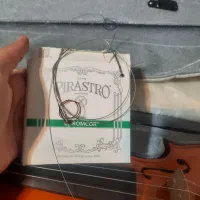 ویالون|ویولن|شیراز, فرهنگ شهر|دیوار