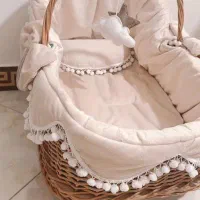 کریر حمل نوزاد